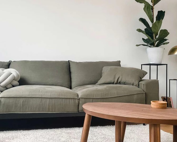 Comfortable green sofa with coffee table and plant in a cosy therapy setting.